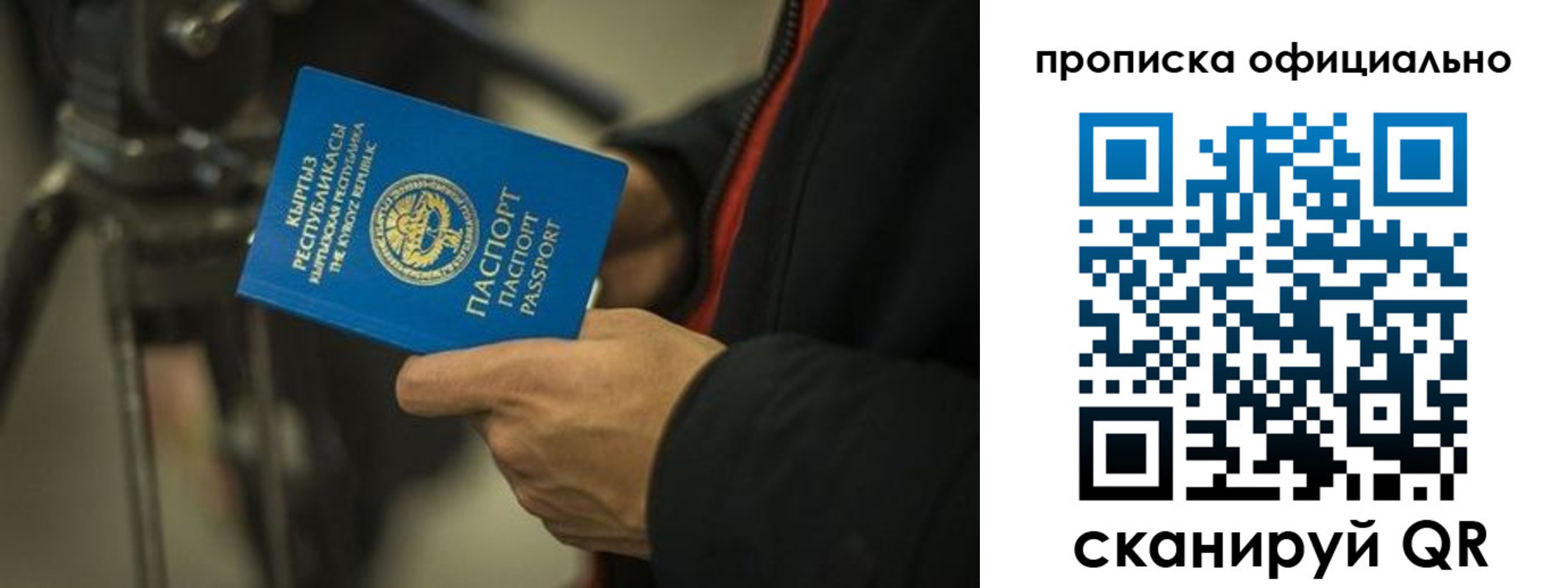 прописка в Ярославской области